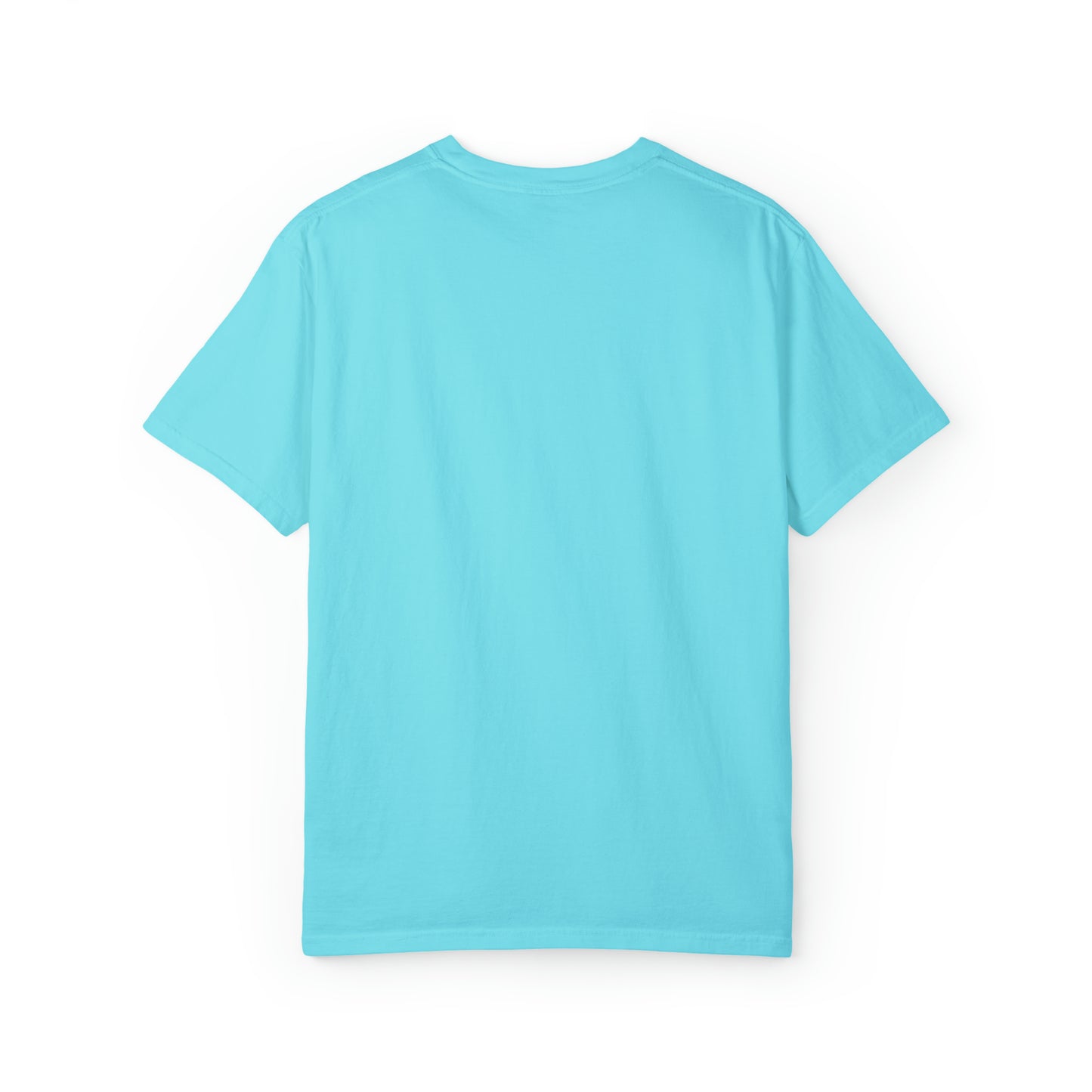 Capybara ALL MY FELLAS shirt