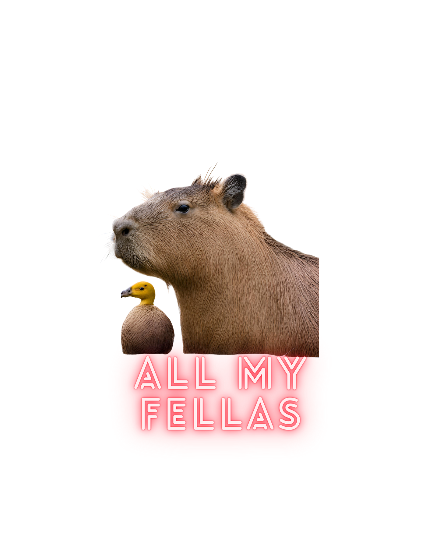 All my Fellas Capybara shirt